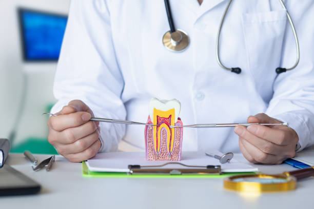 Best Emergency Treatment for Toothache in Clever, MO
